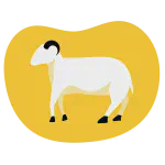 Gambar Sembelih Kambing